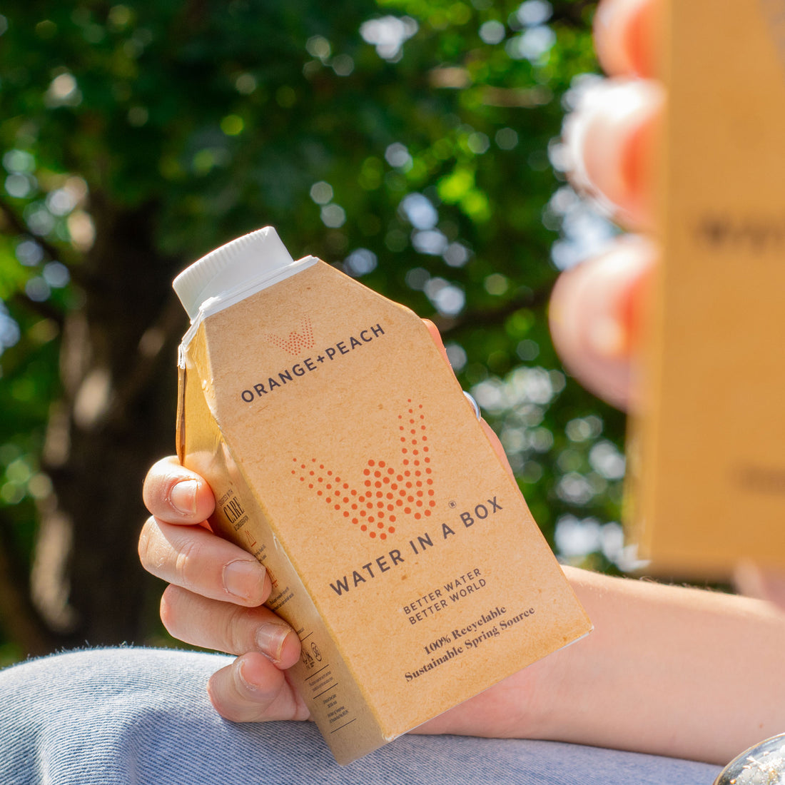 Water In A Box 12 x 500ml bottles Kingshill Mineral Water LTD